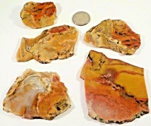 5 Orange Jasper/Agates Recent Estate 1st 2 Pics Wet Free Ship Total 6.4 Oz #3033 - Picture 1 of 5