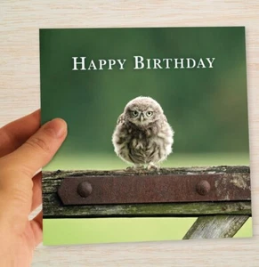 Tarjeta de cumpleaños de búho aves rapaces británicas vida silvestre naturaleza traje amigo hermano esposa - Imagen 1 de 12