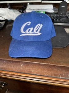 NWT Bullbot Blue CALI Hat Baseball Cap Hook & Loop Enclosure - Picture 1 of 7