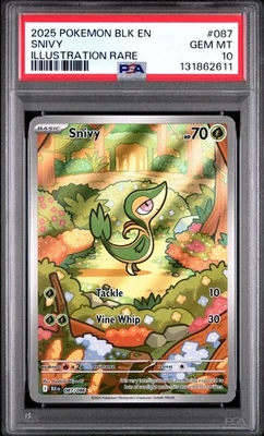 Snivy 087/086 Sv: Black Bolt Holo PSA 10 - Image 1 of 2