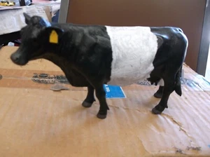 LITTLE BUSTER COW BLACK BELTED - Picture 1 of 1