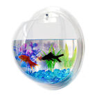  Hydroponic Planter Fish Bowls for Betta Wall Mounted Holder