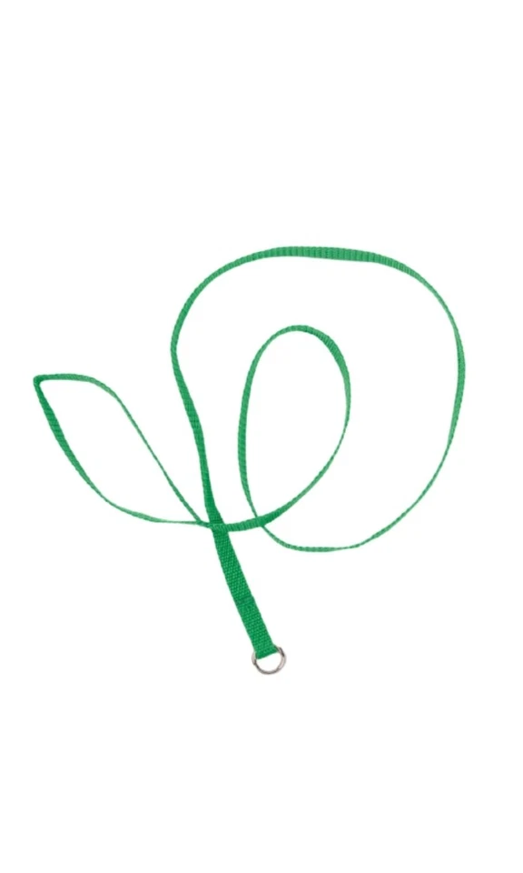 Groomer Essentials 4' cables de perrera - paquete de 12 - verde - verde - cables deslizantes para perros Foto 1 de 1