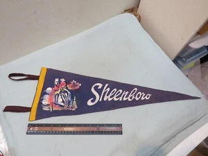 Lotto pennant vintage in feltro Sheenboro Canada #1 - Foto 1 di 3