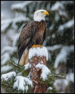 Bald Eagle on Tree Trunk - Chart Counted Cross Stitch Patterns Needlework DMC - Picture 1 of 2