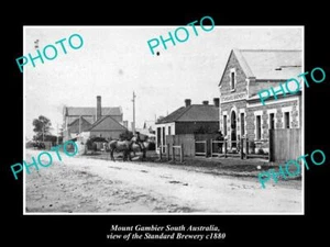 OLD 6 X 4 HISTORIC PHOTO OF MOUNT GAMBIER SA THE STANDARD BREWERY BUILDING 1880 - Picture 1 of 1