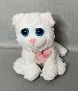 Streichelzoo Las Vegas Katze Kätzchen flauschig weiß Plüsch Souvenir 2012 große blaue Augen - Bild 1 von 8