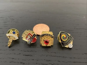 LOTE de prendedores gemas AMA American Motorcycle Milestone fundador/pionero/veterinario/miembro vitalicio - Imagen 1 de 12