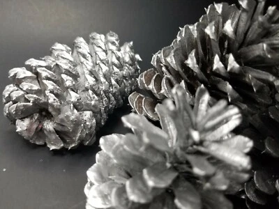 🎅15 Conos de Pino Plata Pintados a Mano Natural Premium Ponderosa Foto 1 de 4
