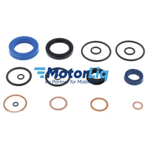 Jungheinrich 27811310 Hydraulischer Dichtungssatz, Passend für: AM2000 - Steinbo - Bild 1 von 2