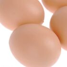 5 Imitation Farm Eggs For Decorative Purposes Or Children's Pretend Play Set