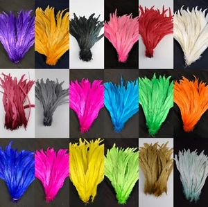 20 pcs 12"-14 ", 14"-16"  Rooster Coque Tail Feathers for Crafting, Decoration - Picture 1 of 46