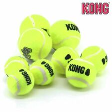 KONG AirDog Squeakair Ball - Apportierspielzeug Tennisball für Hund - Quietscher
