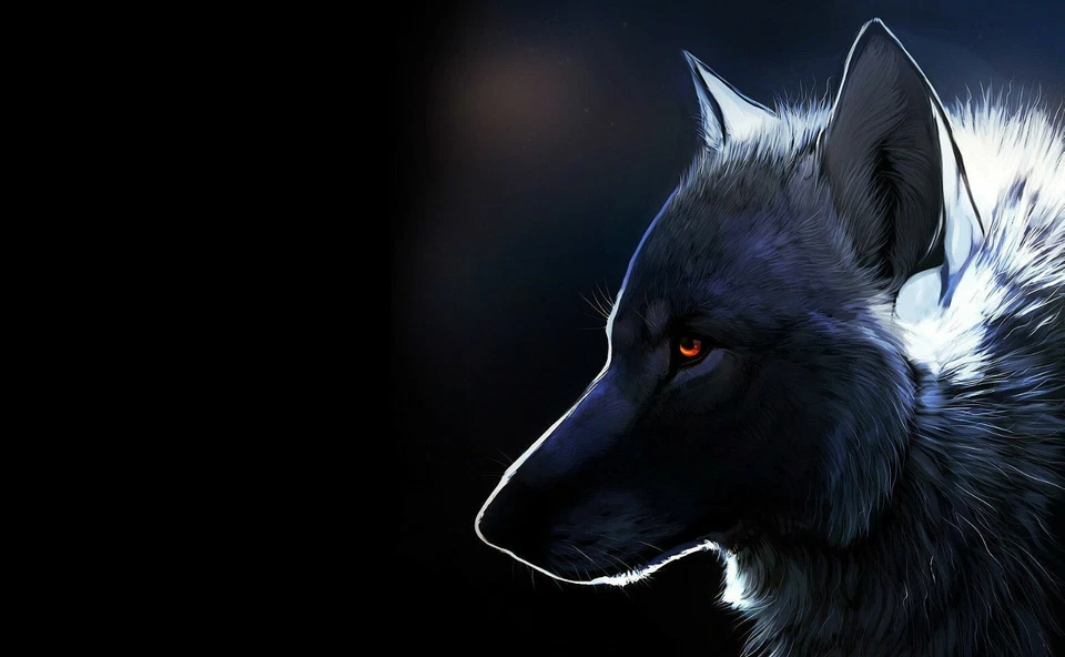 Laptop 17"  Notebook Netbook Skin Sticker Folie Schutz Aufkleber Wolf Hund - Bild 1 von 1