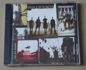 Hootie and the Blowfish: Cracked rear view - Picture 1 of 4