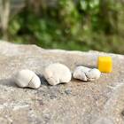 Magnesite Ivory Tumblestones (3) - Spiritual Healing Crystal Minerals