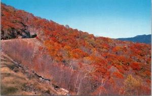 Postal de Carolina del Norte con escena de otoño de Blue Ridge Parkway - Imagen 1 de 2