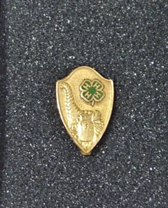 Vintage 4H County Honor Canning Award Lapel Pin By KERR Glass Mfg - Picture 1 of 4