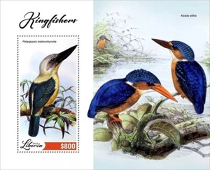 KINGFISHERS Kingfisher Birds/Bird MNH 1v-Stamp Sheet #2077A (2022 Liberia) - Picture 1 of 1