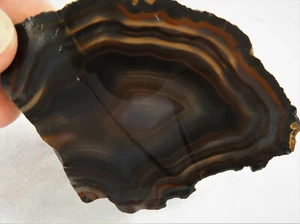 DIG-N-UTAH: SLAB BANDED AGATE JASPER ROUGH # J 9 - Picture 1 of 4