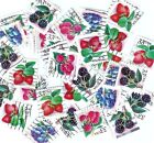 100+ Fruits & Berries Stamps, Unsorted, 33 cent, Off Paper