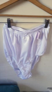 Rene Rofe Vintage Hi Waist NEW Floral Embroidery Brief Panties White Nylon Sz 8  - Picture 1 of 6