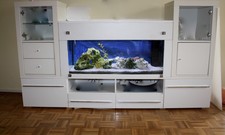 Aquarien günstig kaufen | eBay
