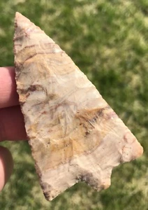 Fine Hillsborough Translucent coral Indian artifacts Polk Florida - Picture 1 of 3