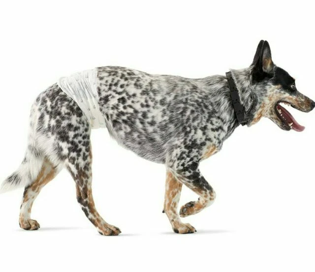 AmazonBasics Male Dog Wrap Medium Size Waist 30 Pieces