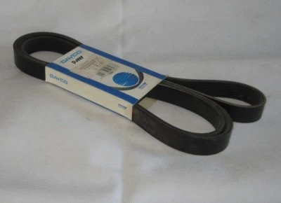 Cinturón de transmisión alternador Land Rover Discovery 1 V8 Dayco ER5579 Foto 1 de 2