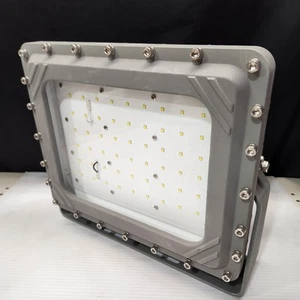 Hazardous duty LED LIGHT Red Sky H2 80w 5000k - Picture 1 of 4