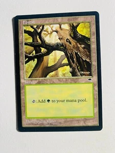 1X MTG MAGIC THE GATHERING FOREST NM-MT CARD - Picture 1 of 2
