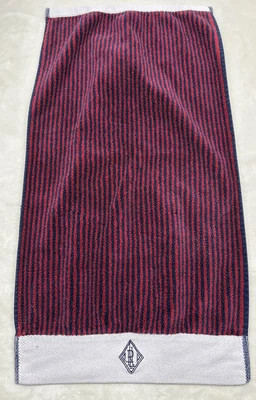 Ralph Lauren Striped Plush Bath Towel Blue Red LRL Monogram Vintage - Image 1 of 4