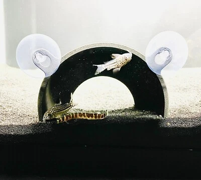 Axolotl Ocultar Cueva Acuario Pecera Escondite Kuhli Loach Corydoras Catfish Cueva Foto 1 de 4