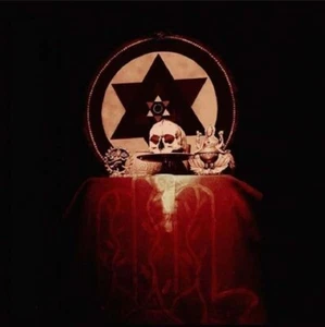 WOLVENNEST – Ritual MMXX 2LP col. CLEAR 180g Vinyl Der Blutharsch King Dude - Picture 1 of 2