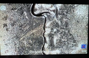 2006 D South Dakota State Quarter Multiple Die Breaks - Picture 1 of 5