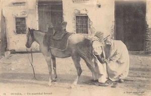 Maroc - OUJDA - Un maréchal-ferrant - Ed. J. Geiser 11 - Picture 1 of 2