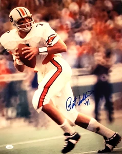 Pat Sullivan Signed Autographed Auto Auburn Tigers 16x20 Dropback Photo w/71 JSA - Picture 1 of 1