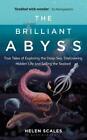The Brilliant Abyss True Tales Of Exploring The Deep Sea D By Scales Helen