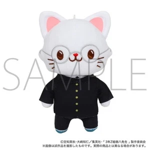 Gintama 3-nen Z-gumi Ginpachi-sensei Shinpachi Shimura Mini Plush Cat w/ Mask - Picture 1 of 3