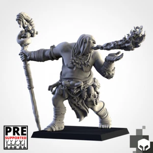 Ogro Chamán, Ogros del Norte, RPG Juegos de Guerra Fantasía DnD Ogro Monstruoso Miniatura - Imagen 1 de 3