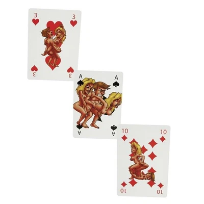 Kamasutra Comic Kartenspiel - Erotik Spiel für Paare - Bild 1 von 4