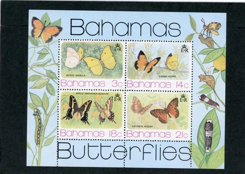 巴哈马 1975 蝴蝶 Scott # 373a 完好全新无标签 — 第 1/1 张图片