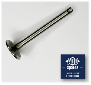 Classic Mini 850cc/998cc A Series Inlet/Intake Valve - 12A1986 - CAM6391 - Picture 1 of 5