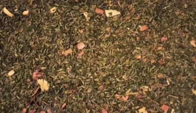 3 sobres de hierbas totalmente naturales XL lavanda menta proteger la ropa SIN POLILLAS Foto 1 de 2