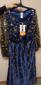 Hyde and Eek Adults Moonlight Witch Adult Costume. Size Large. 12-14 #J9 - Picture 1 of 2