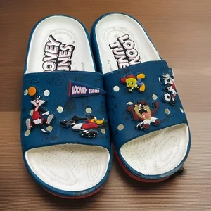 Crocs Looney Tunes Sandals Slides Bugs Bunny Taz Tweety Juniors Sz 35-36 J3 - Picture 1 of 9