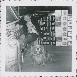 Snapshot Vintage Photo Little Boy Kid Dog Cocker Spaniel Interior Grocery Beer - Picture 1 of 5