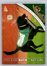Miss Babe Ruth MultiAd 2012 31 Greensboro Grasshoppers Bat Dog