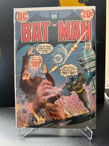DC Batman #248 Apr 1973 - Picture 1 of 5